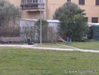 L'agguato choc delle compagne di classe: 13enne colpita con le forbici