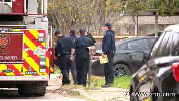 81-year-old man dies after dog attack in San Antonio; suspect arrested, police say
