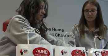 UNB Saint John program aims to fight student food insecurity: ‘It’s a major issue’