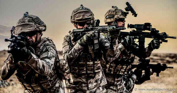 DoD Committee Recommends 'High Priority' Firearms Ban on Nearly 50% of Active Service Members