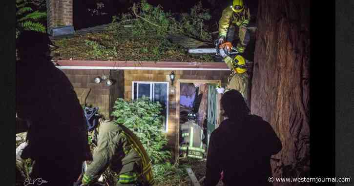 'There's a Tree on My Baby!': Family Calls Toddler's Survival a 'Miracle' After Huge Tree Crushes Home