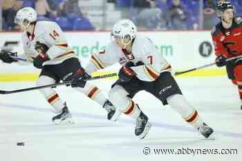 VIDEO: Another overtime game for Vancouver Giants has different outcome