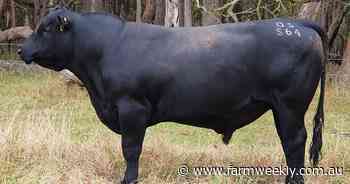 Buyers knew what they wanted