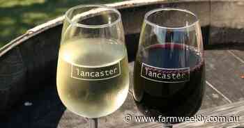 Worn out? Go to the baa!