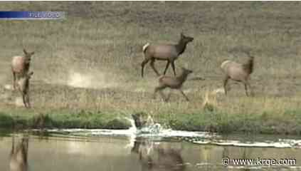 Bill changing game commission names moves forward