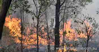 History suggests Australia is a 'powder keg' for grassfires after big wet