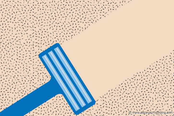 Why Do We Have Eyebrows and Other Types of Facial Hair?