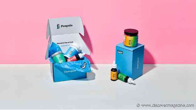 The 7 Best CBD Tinctures