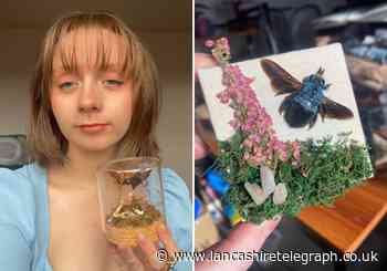 Darwen taxidermist enlivens hundred dead bees in awareness art project