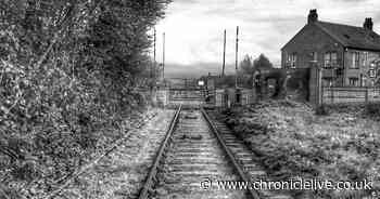 The historic former Tyneside railway line that today is a haven for walkers and cyclists