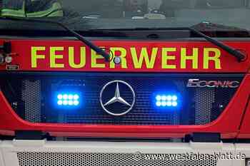 Bad Driburg: Kater stirbt bei Brand eines Einfamilienhauses