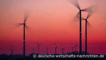 Ausbau der Windkraft – Abbau von Schutzrechten von Mensch und Tier