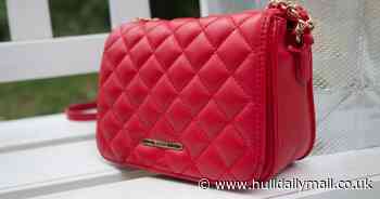 Contents of bag handed into lost and found at bar has staff in hysterics