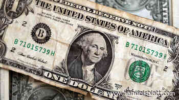 Devisen: Hält der Aufwärtstrend? An diesen Faktoren hängt die aktuelle Stärke des Dollars