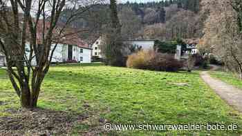 Bauprojekt in Calw: Debatte entzündet sich an Parkplätzen