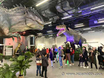 5 raisons de visiter le musée éphémère des dinosaures à Mandelieu