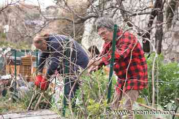 Une taille des vignes en équipe à Saint-Jeannet