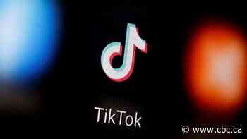 Why many Western countries are more concerned about TikTok than other social media platforms