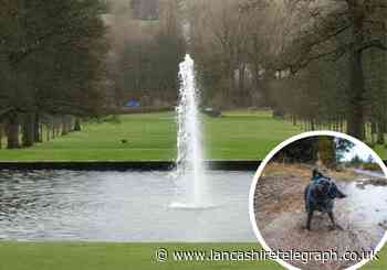 Self-service dog wash coming to Towneley Park, Burnley