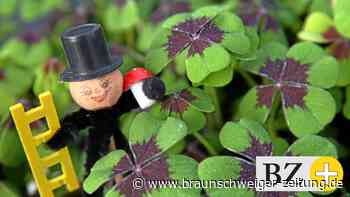 Mehr Glück im Alltag – Glücksforscher gibt Tipps in Salzgitter