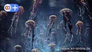 ZDF-Serie „Der Schwarm“ in Kiel - Ausstrahlung, Inhalt, Besetzung, Orte