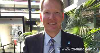 Pulse crops a standout feature of rotation trials