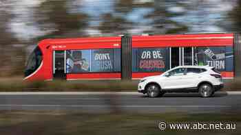 Use an app with real-time updates, tap on with your smartphone: ACT government plans public transport ticketing overhaul