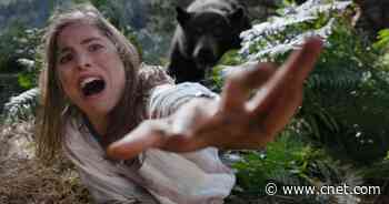 'Cocaine Bear' Review: Insane Flick Delivers Wild Comedy Carnage     - CNET