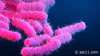 CDC issues warning over an increase of drug-resistant Shigella bacteria