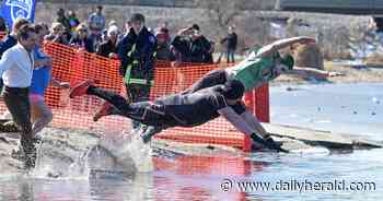 Polar plungers brave icy waters to help Special Olympics