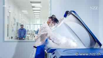 Zelltherapien versprechen Krebskranken neue Hoffnung – aber die Herstellung ist noch zu arbeitsaufwendig