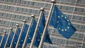 Anti-Steuervermeidungsrichtlinie: Politischer Druck auf Briefkastengesellschaften wächst