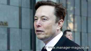 Twitter: Elon Musk dampft Twitter-Belegschaft um 70 Prozent ein