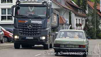 Verkehrslärm in Sulz am Eck?: Der Lärmaktionsplan ist in Wildberg noch nicht vom Tisch
