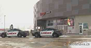 Lethbridge police investigate assault at International Peace Pow-wow