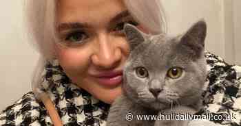 Woman spends £100 a month on cat treats and my pets have their own room