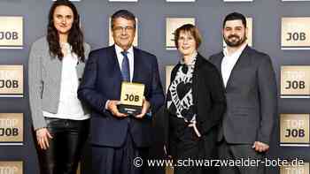 „Top Job“-Siegel für Infinex in Haiterbach: Analyse selbst ist wichtiger als der Preis