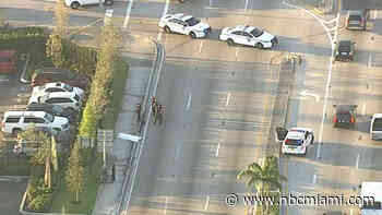Man Killed in Apparent Hit-and-Run in Miami: Police