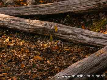 Verkehrssicherungsmaßnahmen an geplanter MTB-Strecke