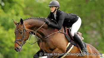 Classico: Wie Paul vom Wildpferd zum Spring-Champion wurde
