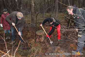 Ein Baum pro 50 geradelte Kilometer