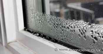 Lidl and Asda shoppers hail £49 dehumidifier that banishes mould and condensation