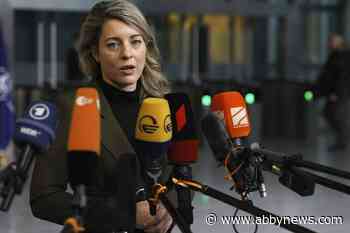 NATO expansion focus of parliamentary committee trip to Europe to study Ukraine