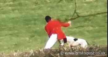 RSPCA investigating hunt after chilling video appears to show dog being attacked