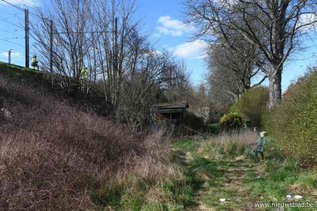 Tuintjes van Groenenhoek moeten plaats maken voor fietsostrade: “Eind april vliegen we eruit”