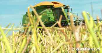 Federal and Sask. governments announce enhancements for 2023 Crop Insurance Program
