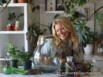 Bring joy and fresh air to inside spaces with the Urban Botanist