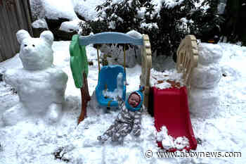 Abbotsford receives record snowfall on Sunday