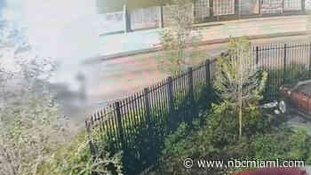 Driver Sought After Man Killed in Miami Hit-and-Run Caught on Camera