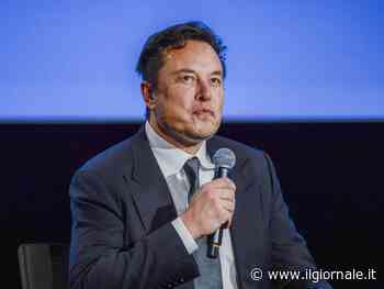 "Razzisti contro bianchi e asiatici": nuova bufera su Musk